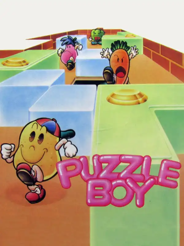 Puzzle Boy cover