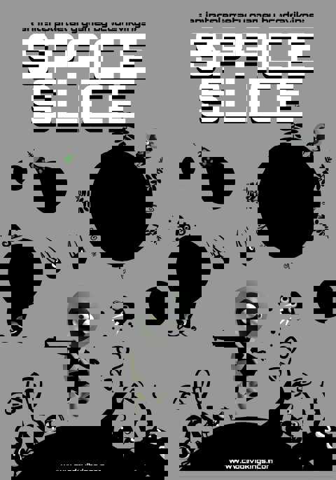 Space Slice cover