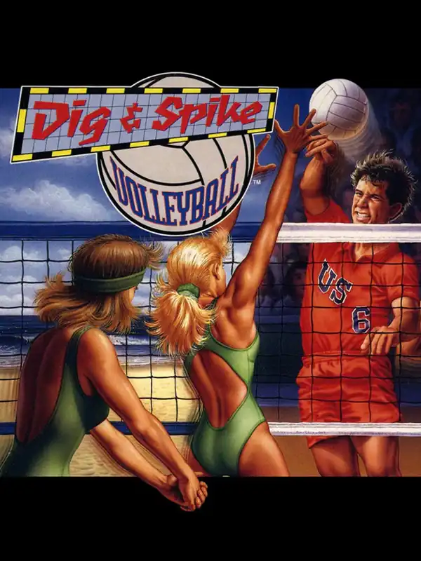 Dig & Spike Volleyball cover