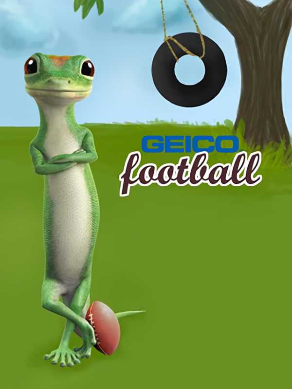 Geico Football cover