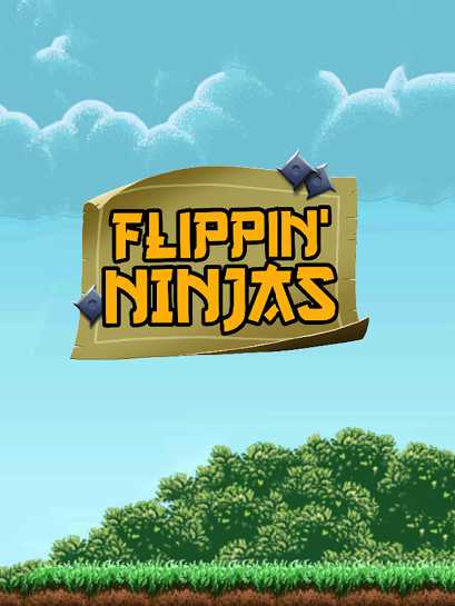 Flippin Ninjas cover
