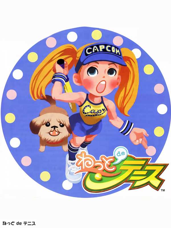 Netto de Tennis cover