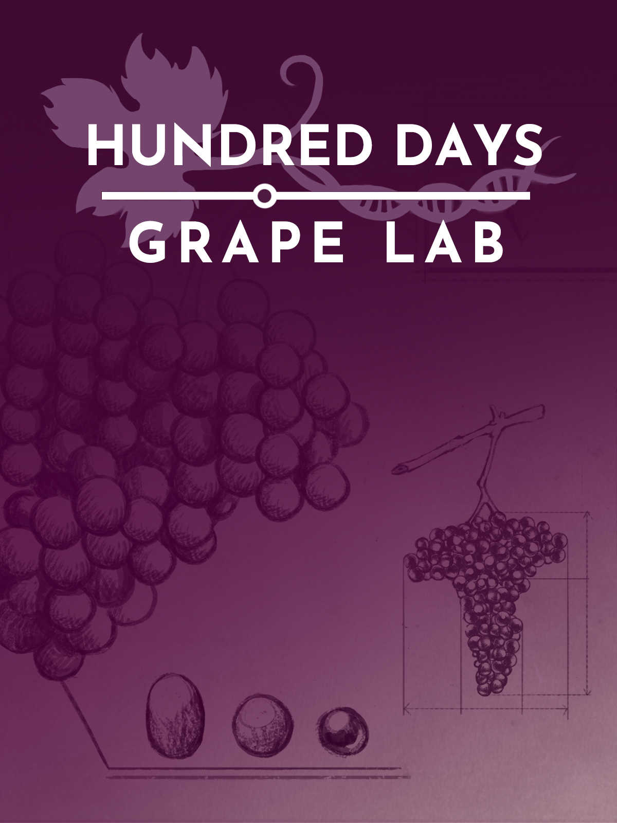 Hundred Days: Grape Lab cover