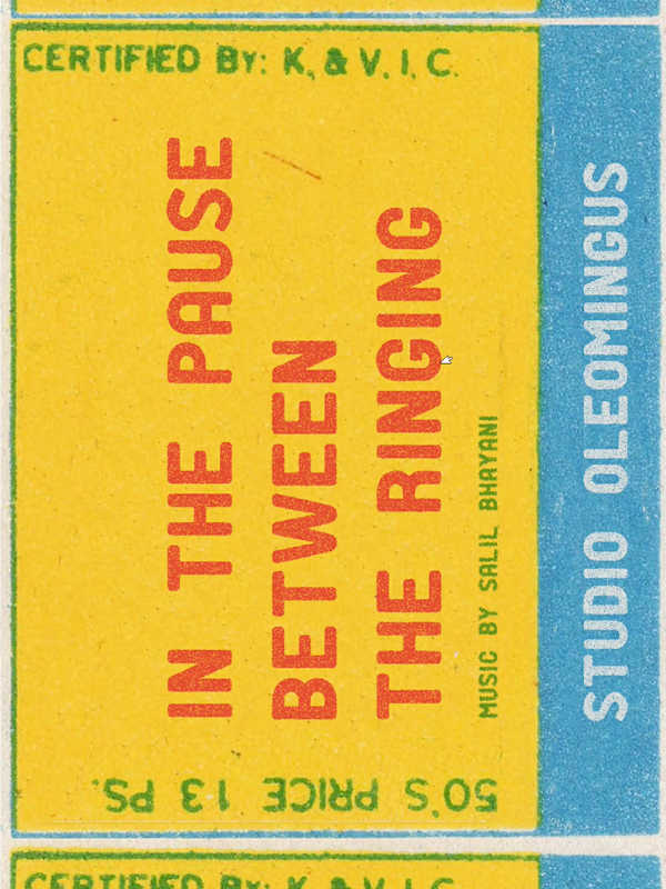 In the Pause Between the Ringing cover