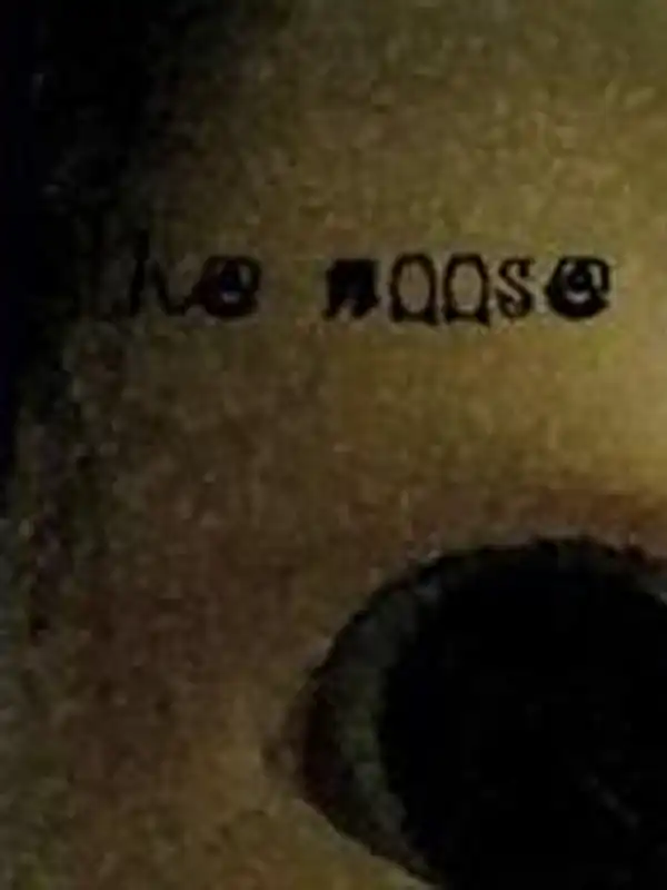 The Noose cover