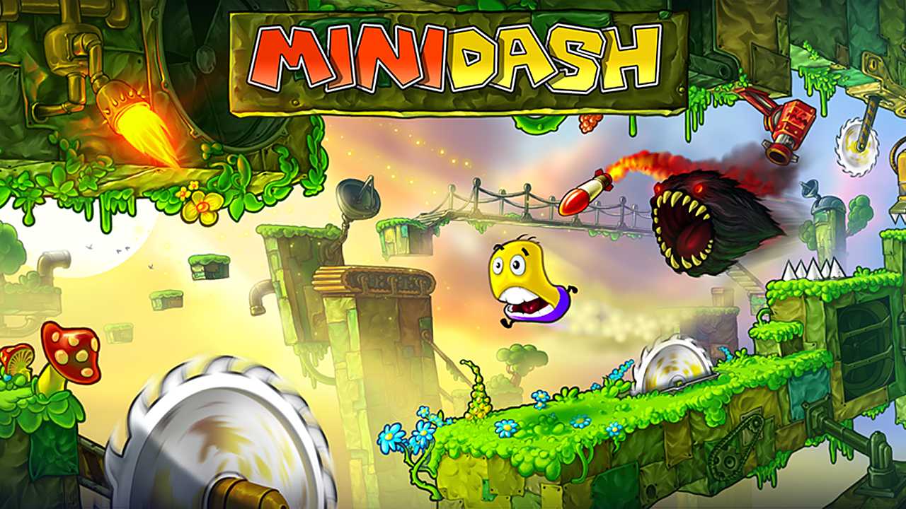 Mini Dash cover