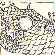 Metamorphoses cover