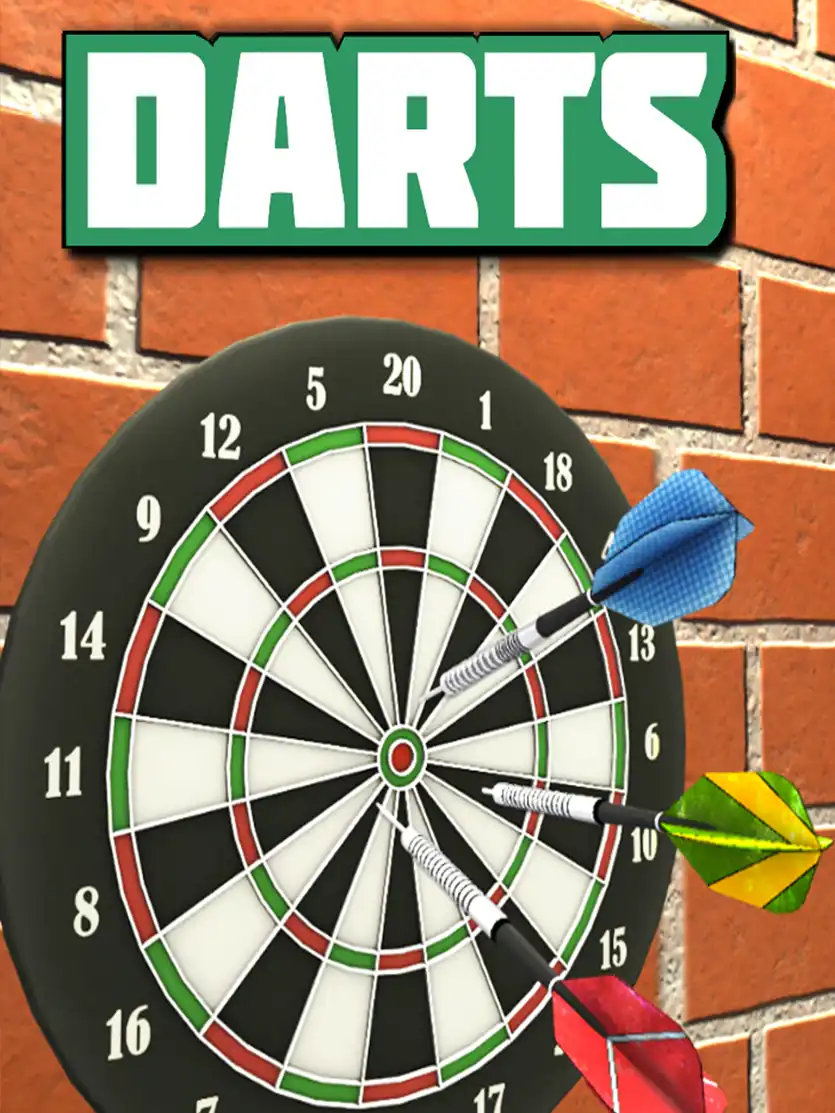 Darts cover