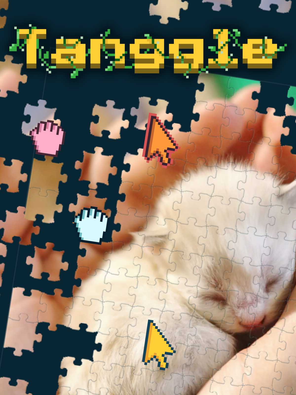 Tanggle cover