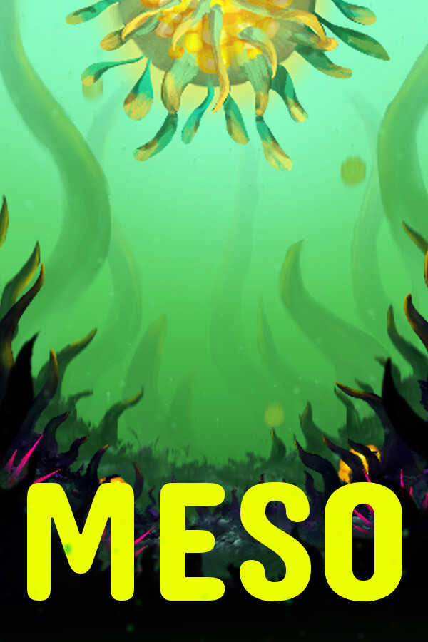 Meso cover