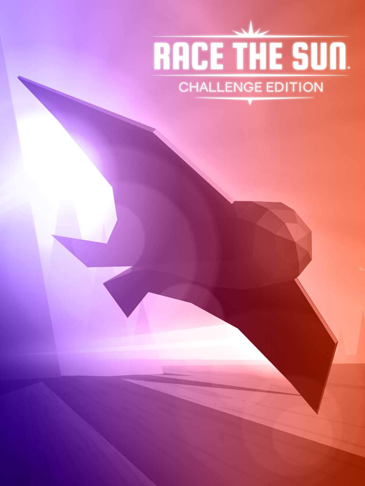 Race the Sun: Challenge Edition cover