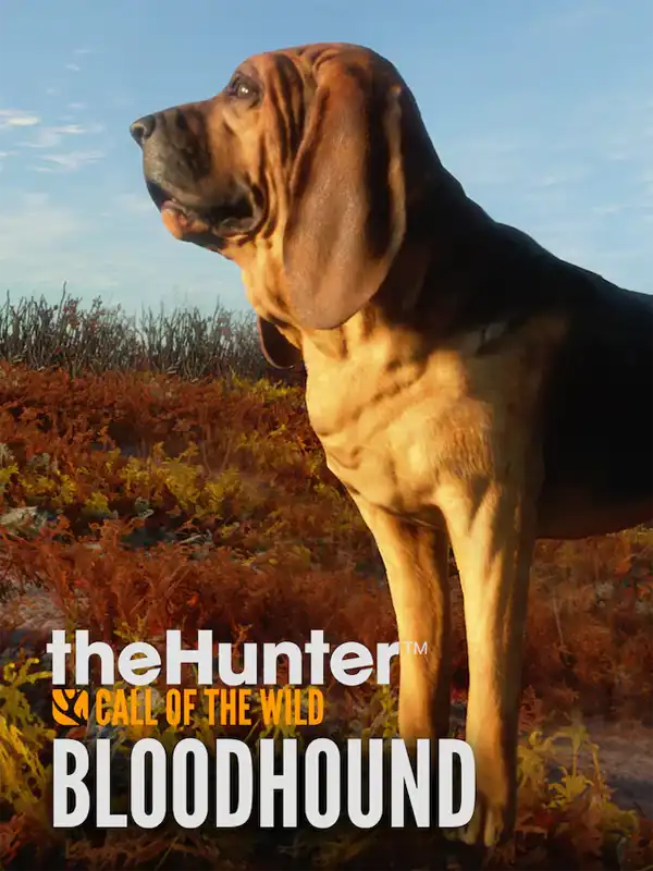 TheHunter: Call of the Wild - Bloodhound cover