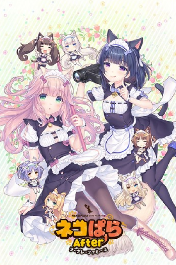 Nekopara After cover