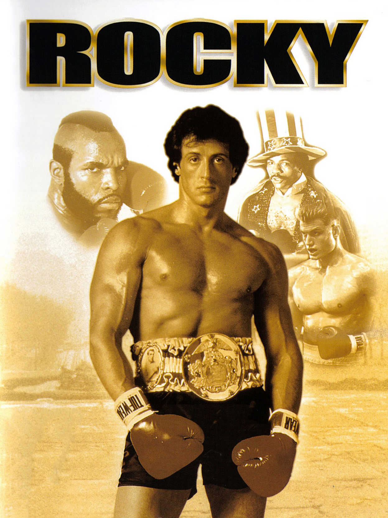 Rocky cover