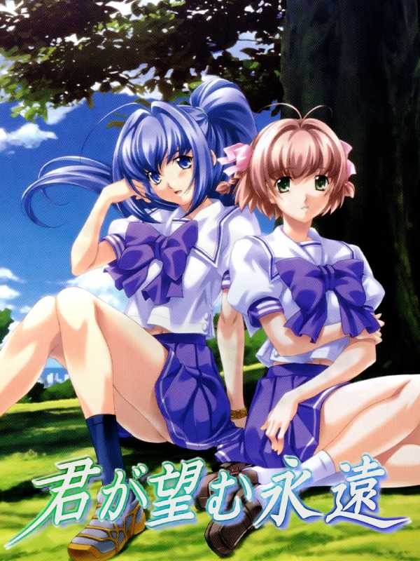 Kimi ga Nozomu Eien cover