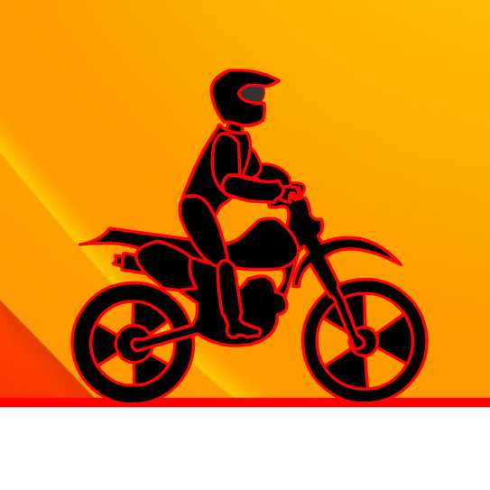 Max Dirt Bike cover
