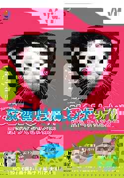 Sukeban Shachou Rena cover