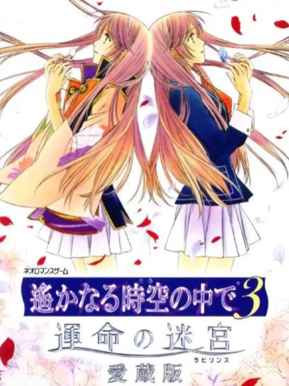 Harukanaru Toki no Naka De 3: Unmei no Labyrinth Aizouban cover