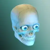 Idle Human cover
