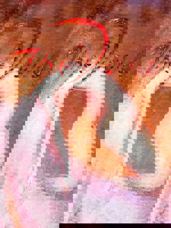 The Void cover