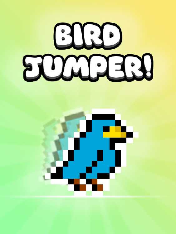 Bird Jumper cover