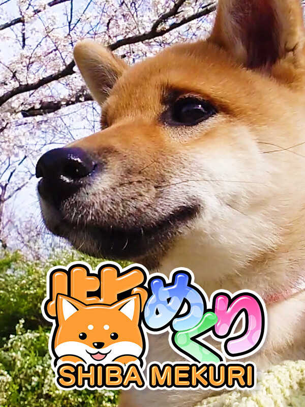Shiba Mekuri cover
