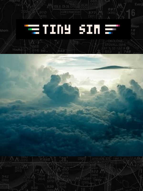 Tiny Sim cover