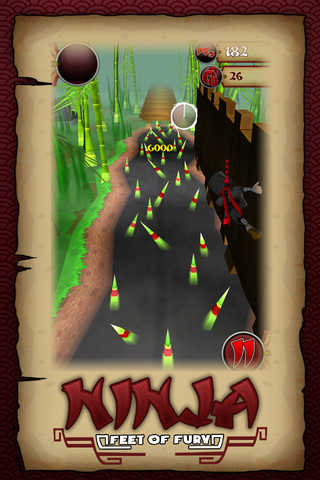 Ninja Feet of Fury cover