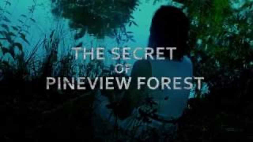 The Secret of Pineview Forest cover