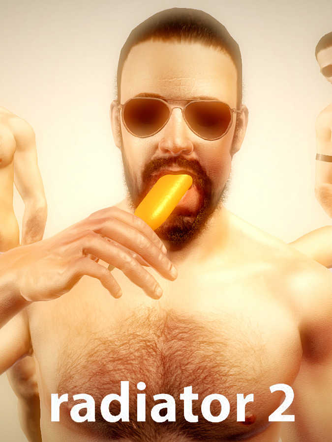 Radiator 2 cover