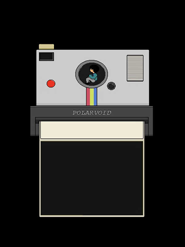 Polarvoid cover