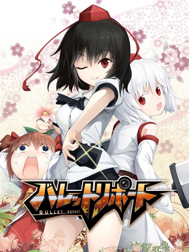 Bullet Report cover