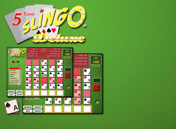 5 Card Slingo cover