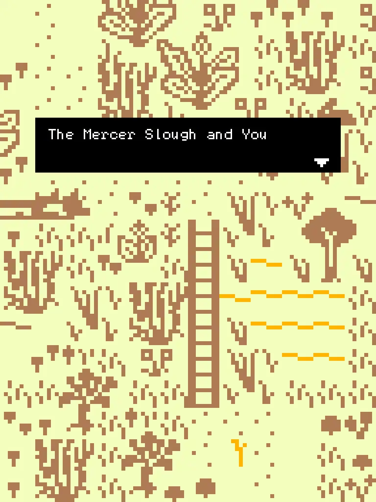 The Mercer Slough and You cover