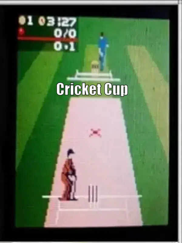 Cricket Cup cover