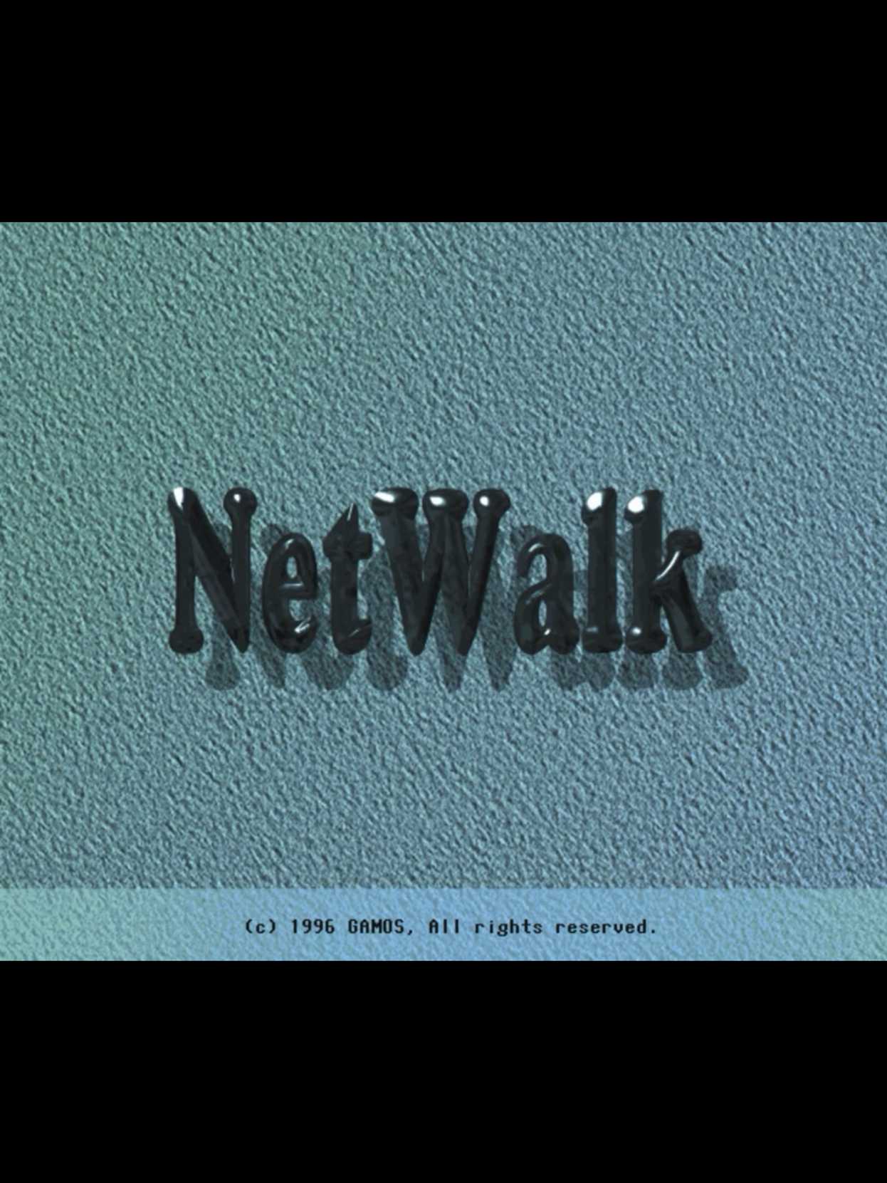 NetWalk cover