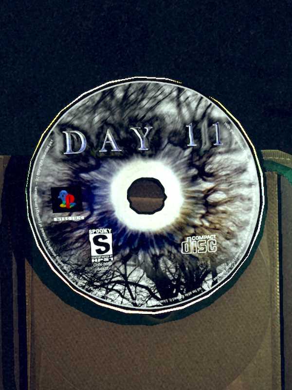 Day 11 cover