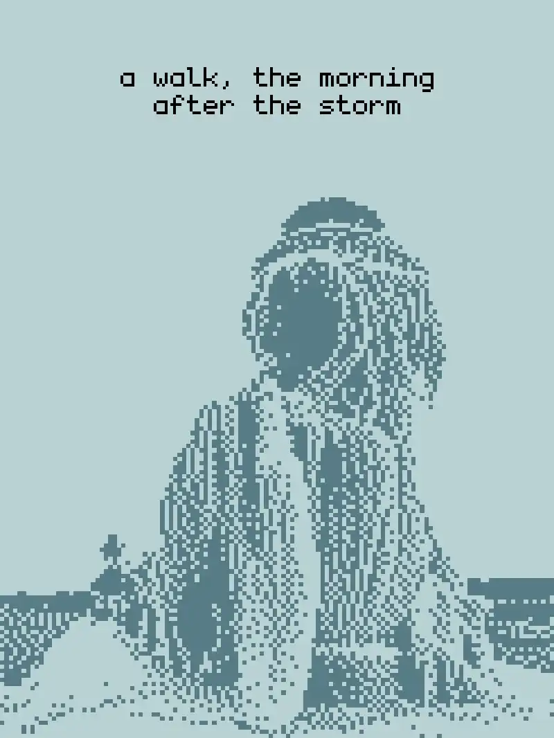 A Walk, the Morning After the Storm cover