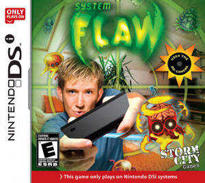 System Flaw cover