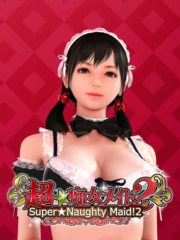Super Naughty Maid 2 cover