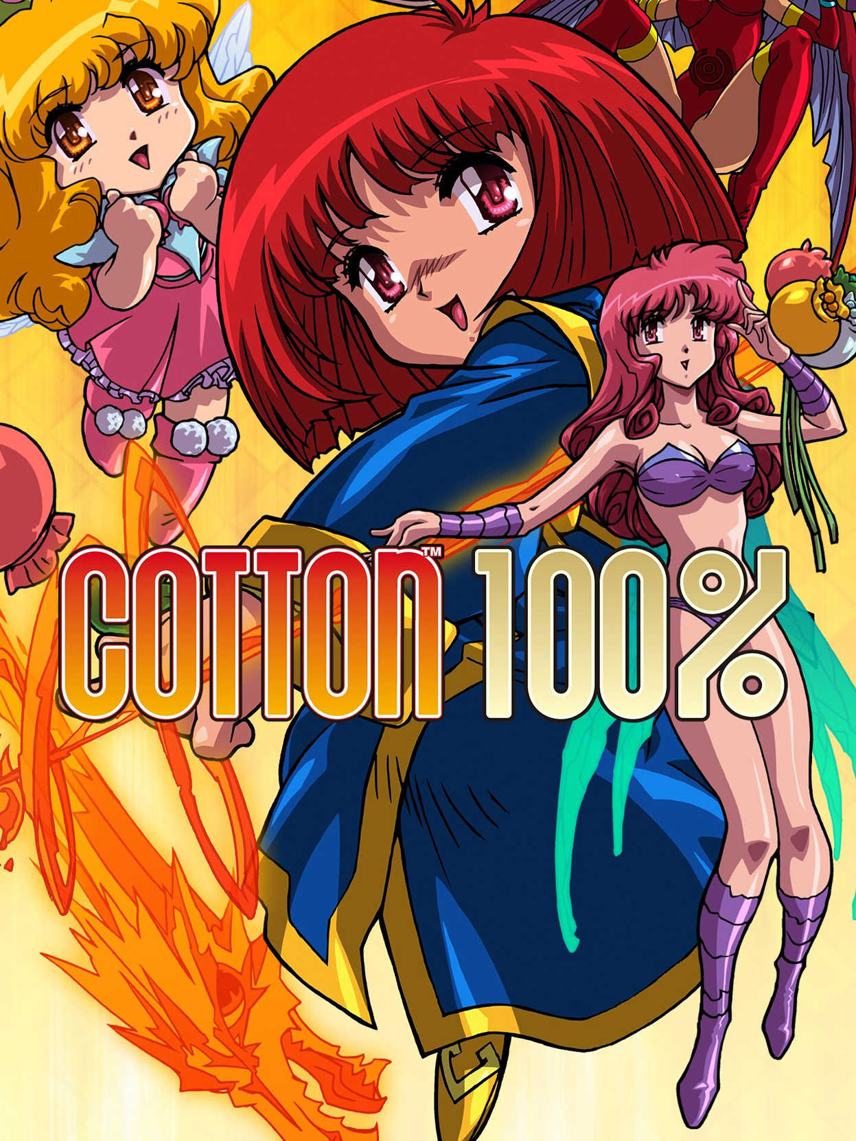 Cotton 100% cover