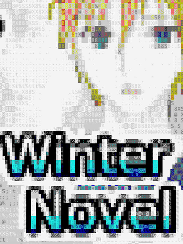 Winter Novel cover