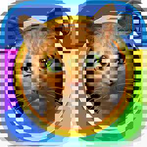 Instakitty 3D cover