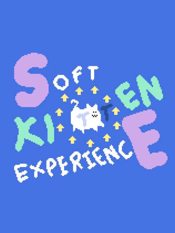 Soft Kitten Experience cover