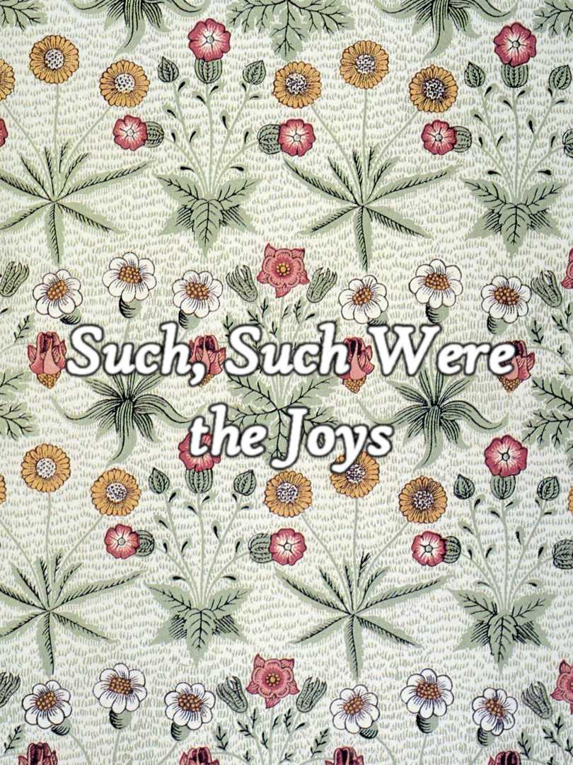 Such, Such Were the Joys cover