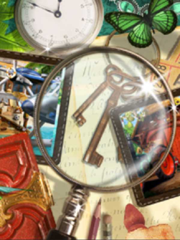 100% Hidden Objects cover