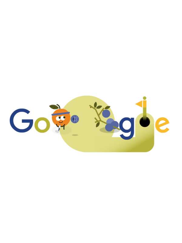 2016 Doodle Fruit Games cover