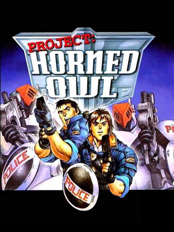 Project: Horned Owl cover