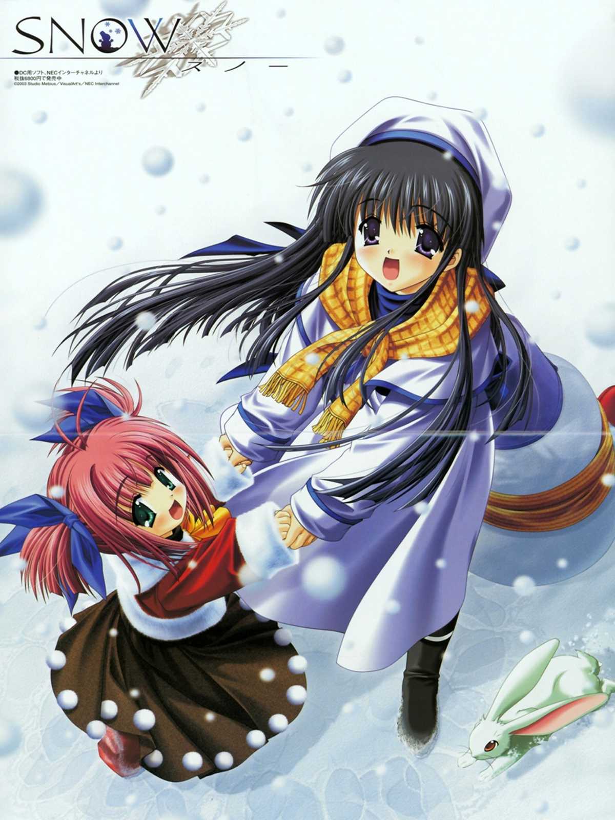 Snow cover