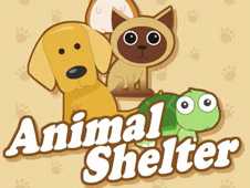 Animal Shelter cover